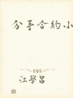 分手合约小说