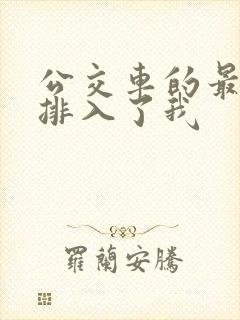 公交车的最后一排入了我