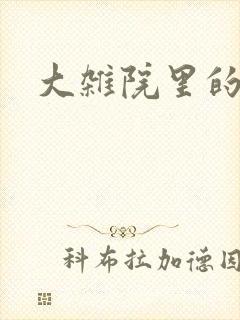 大杂院里的女人