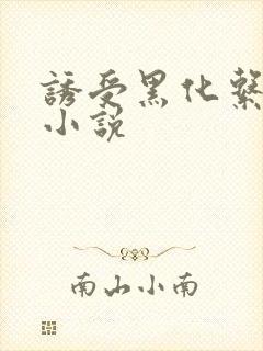 诱受黑化系统 小说