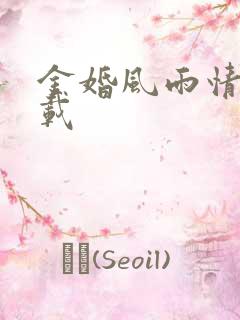 金婚风雨情 下载