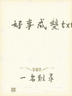 好事成双txt