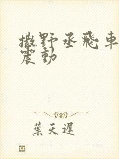 撒野丞飞车道具震动