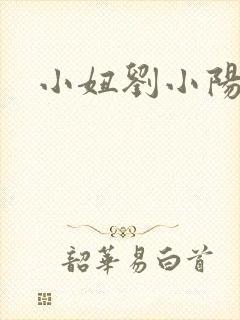 小妞刘小阳