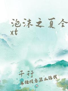 泡沫之夏全集txt