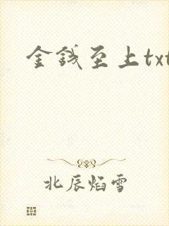 金钱至上txt