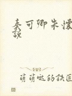 秦可卿朱怀镜小说