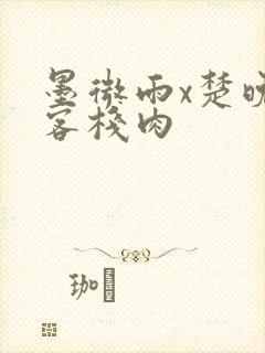 墨微雨x楚晚宁客栈肉