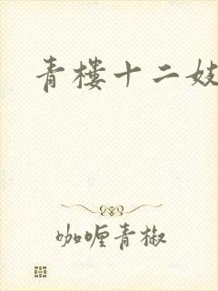 青楼十二妓