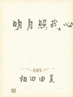 明月照我心小说
