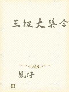 三级大集合