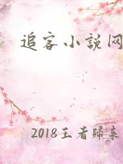 追客小说网