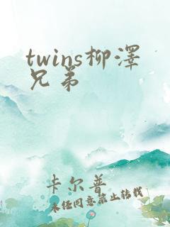 twins柳泽兄弟