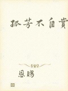 孤芳不自赏小说