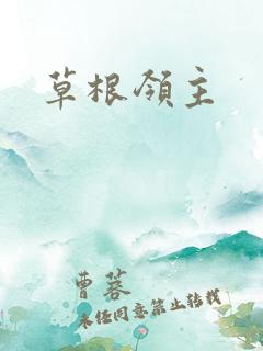 草根领主