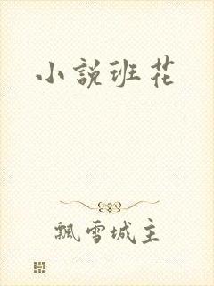 小说班花