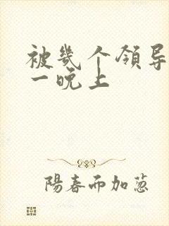 被几个领导玩弄一晚上