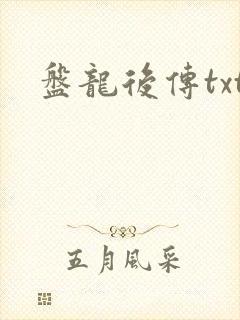 盘龙后传txt