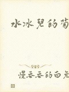 水冰儿的菊花