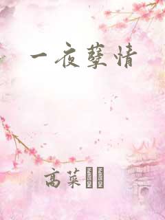 一夜孽情