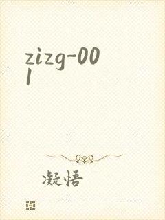zizg-001