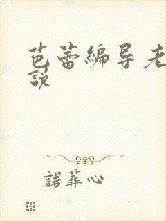 芭蕾编导老师小说