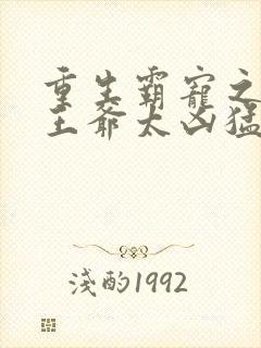 重生霸宠之摄政王爷太凶猛