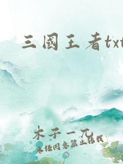 三国王者txt
