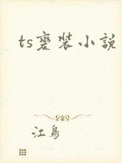 ts变装小说