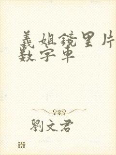 义姐镜里片微博数字车