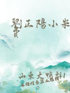 刘正阳小米多免费