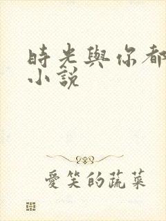 时光与你都很甜小说