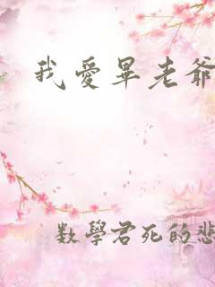 我爱毕老爷