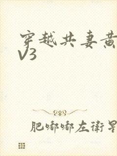 穿越共妻黄暴1V3