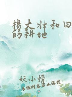 杨大壮和田桂花的耕地