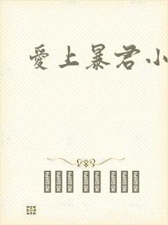 爱上暴君小甜心