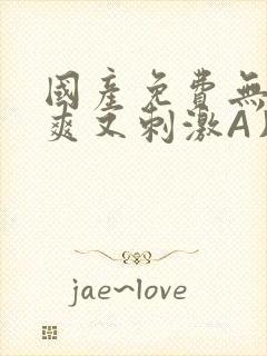 国产免费无码又爽又刺激A片小说