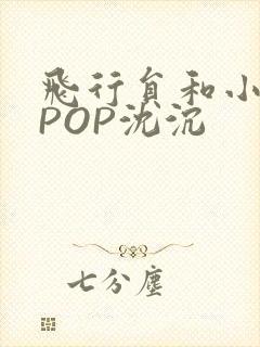 飞行员和小空乘POP沈沉