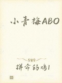 小青梅ABO