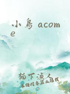 小鸟 acome