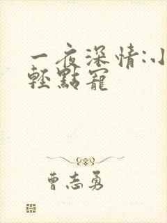 一夜深情:小叔轻点宠