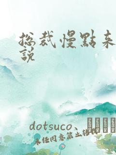 总裁慢点来 小说