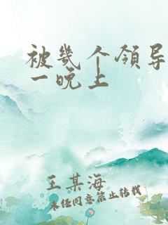 被几个领导玩弄一晚上