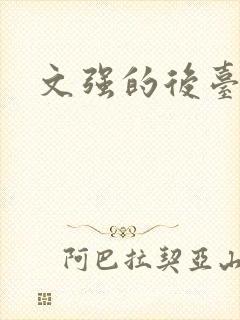 文强的后台是谁