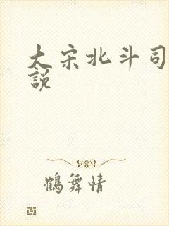 大宋北斗司 小说