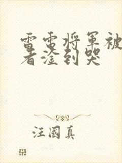 雷电将军被旅行者淦到哭