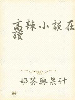 高辣小说在线阅读