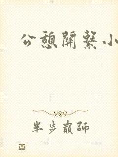 公憩关系小说