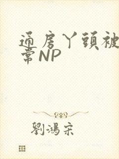 通房丫头被肉日常NP