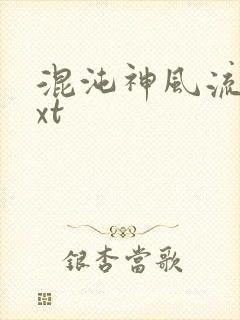 混沌神风流史txt